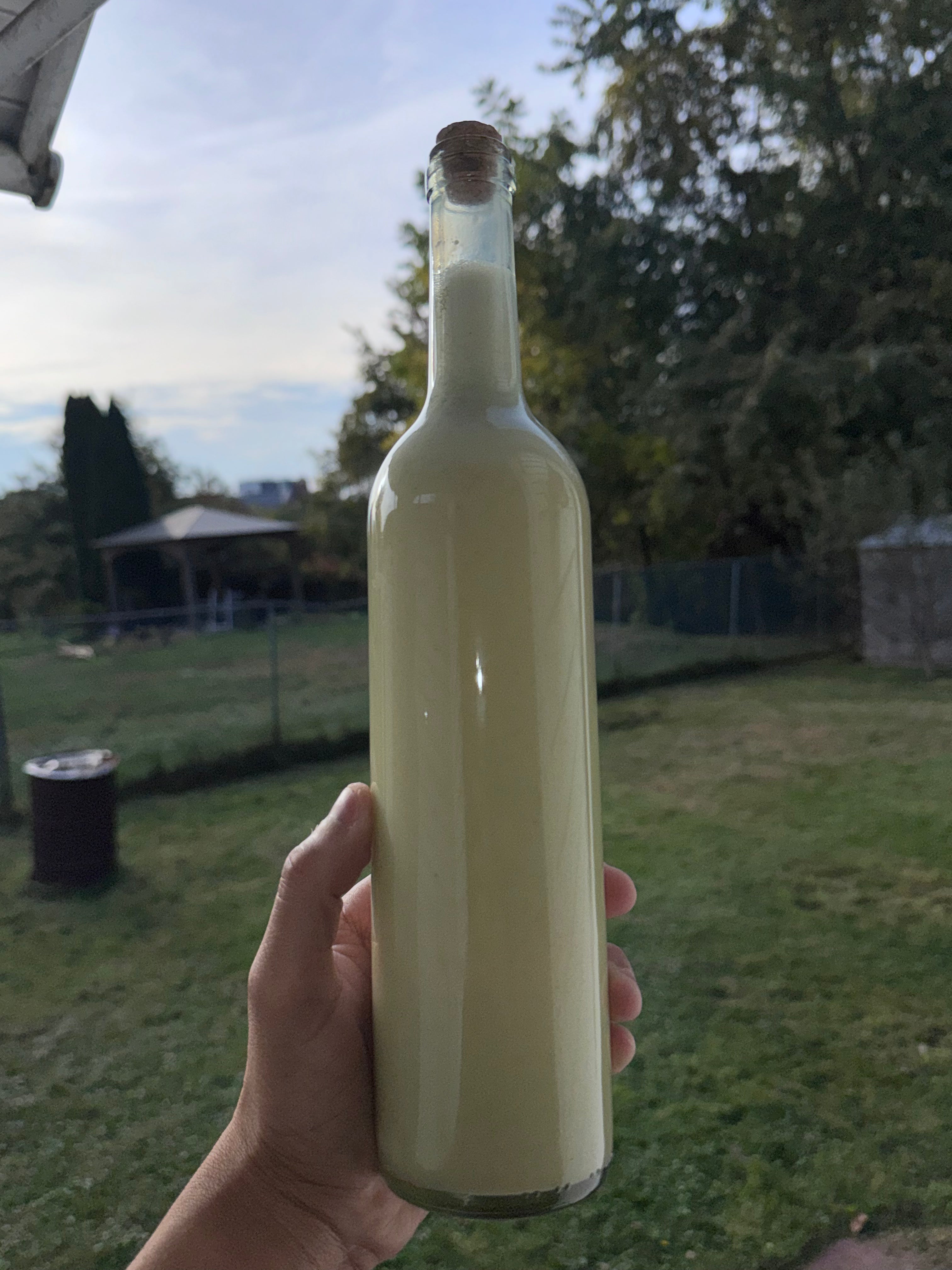 Apple Pie Coquito